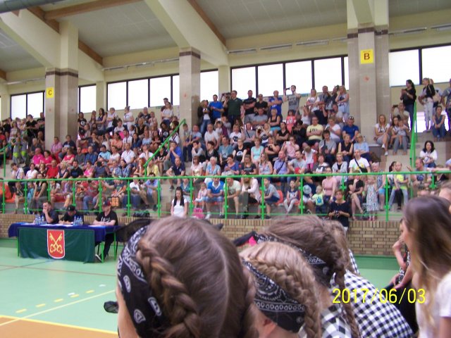 fest 33